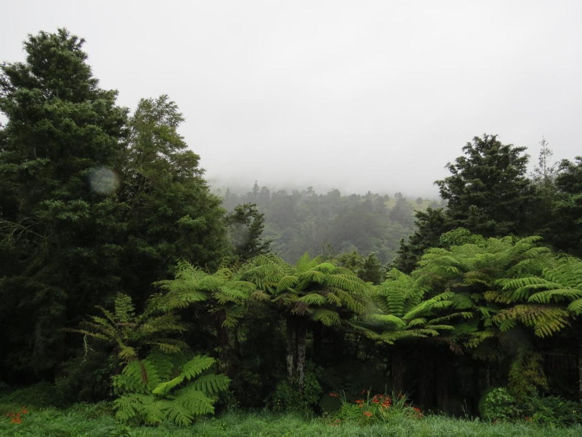 Crown Ridge Miners Cottage Karangahake Exterior photo
